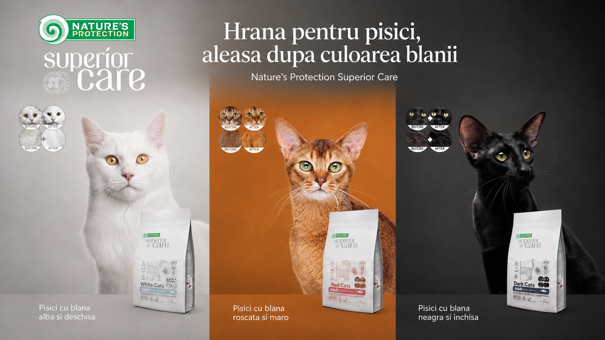 Mâncare pentru pisici în funcție de culoarea blănii: ghidul complet Nature's Protection Superior Care