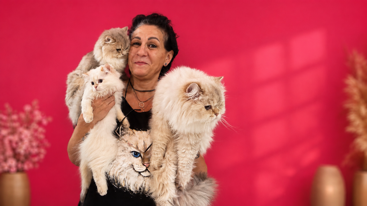 MihaWorld Cattery