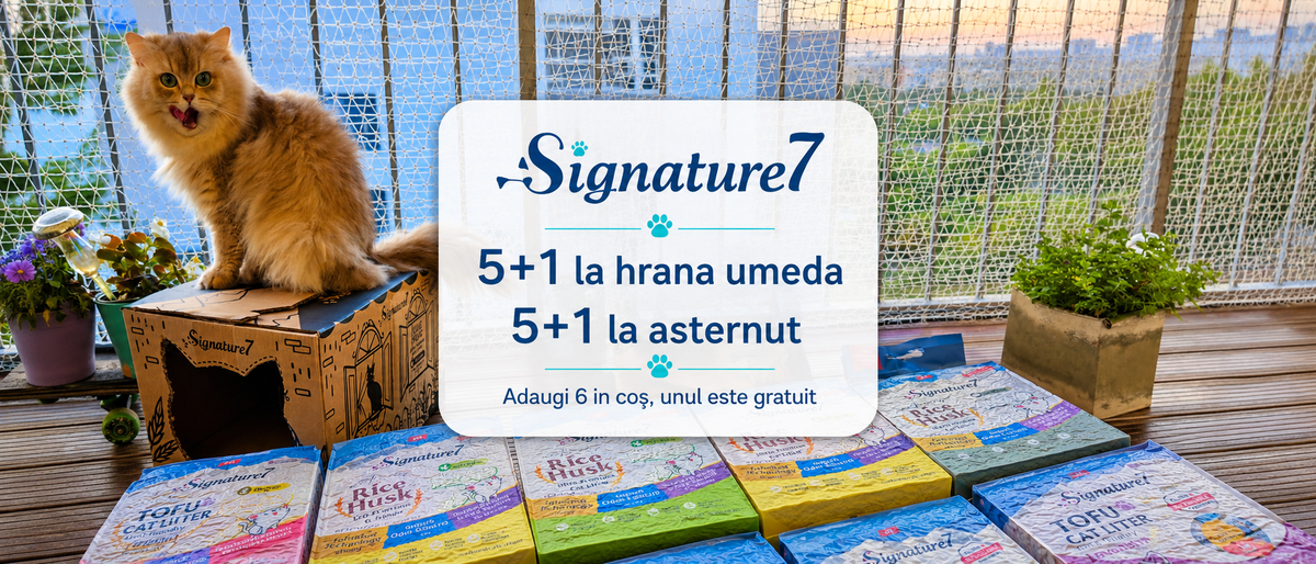 Signature7