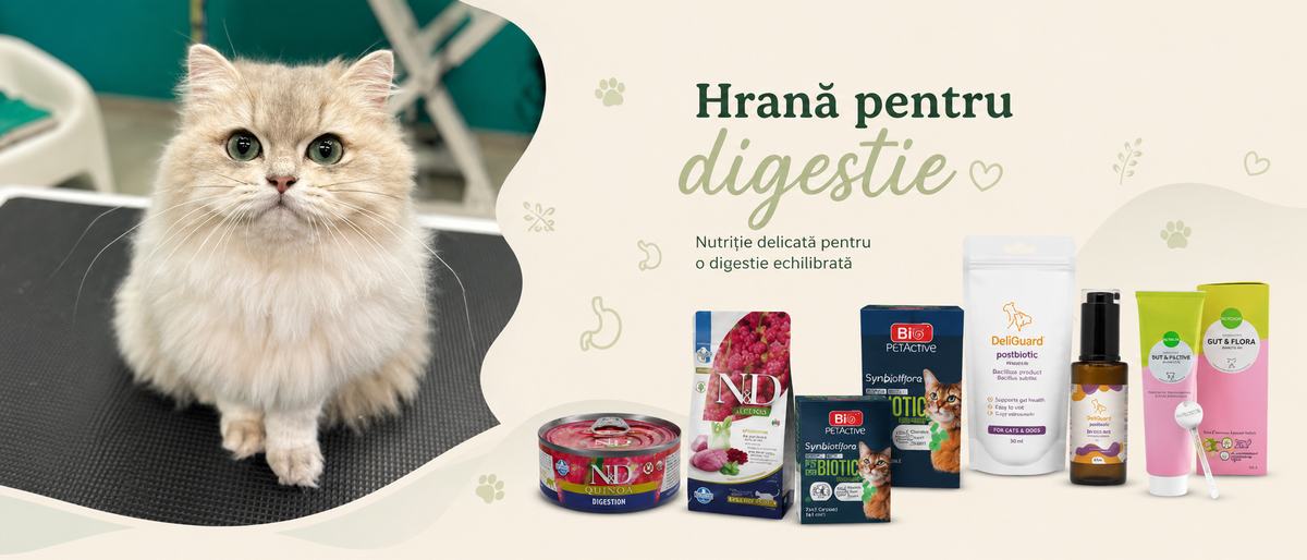 Pentru digestie