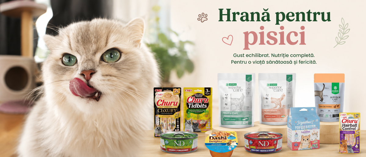 Hrana pentru pisici
