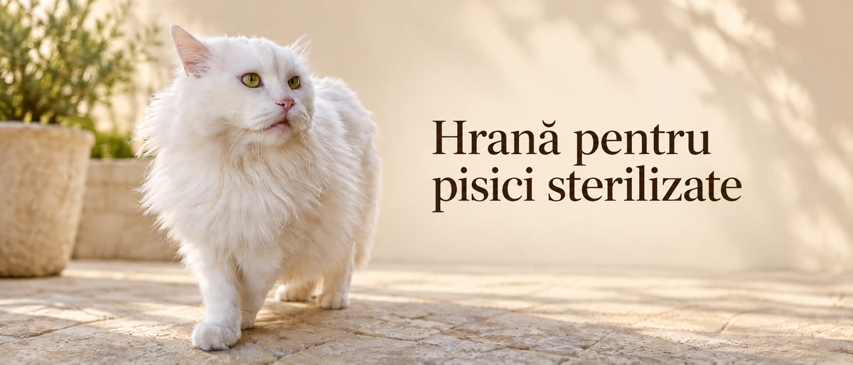 Hrană și recompense pentru pisici sterilizate