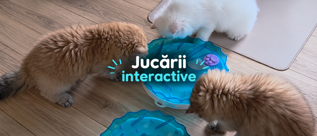 Jucării interactive pentru pisici