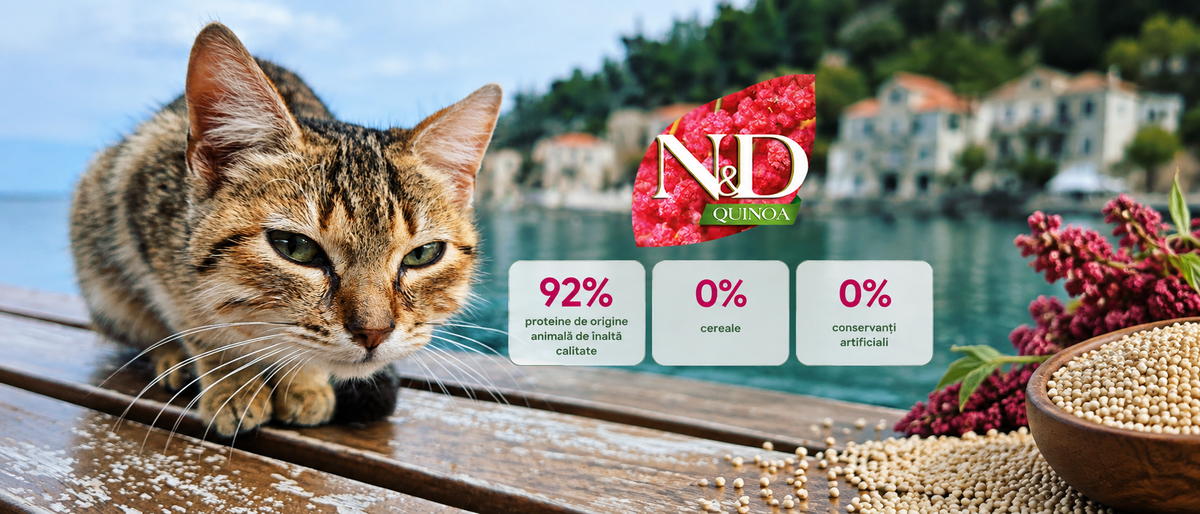 N&D Quinoa pentru pisici