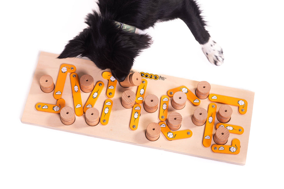 MICE puzzle interactiv pentru pisici, cu recompense