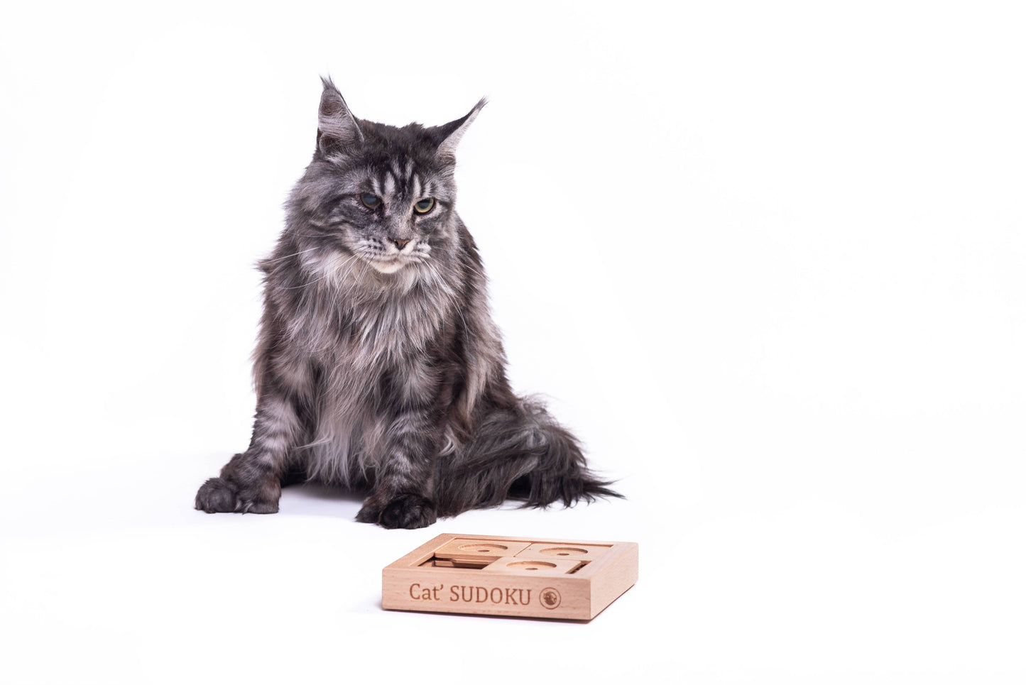My Intelligent Pets puzzle interactiv pentru pisici, Sudoku Small Basic