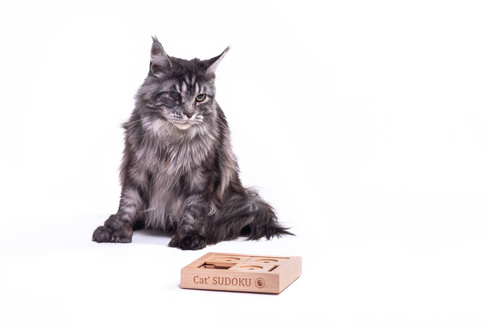My Intelligent Pets puzzle interactiv pentru pisici, Sudoku Small Basic