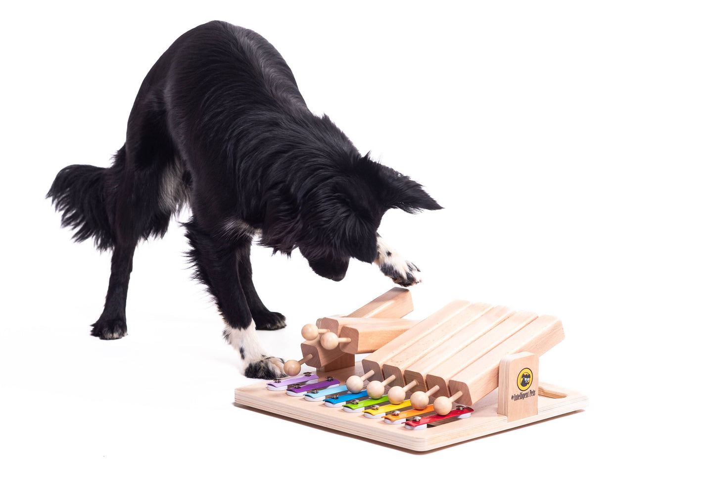 My Intelligent Pets puzzle interactiv pentru pisici, Piano