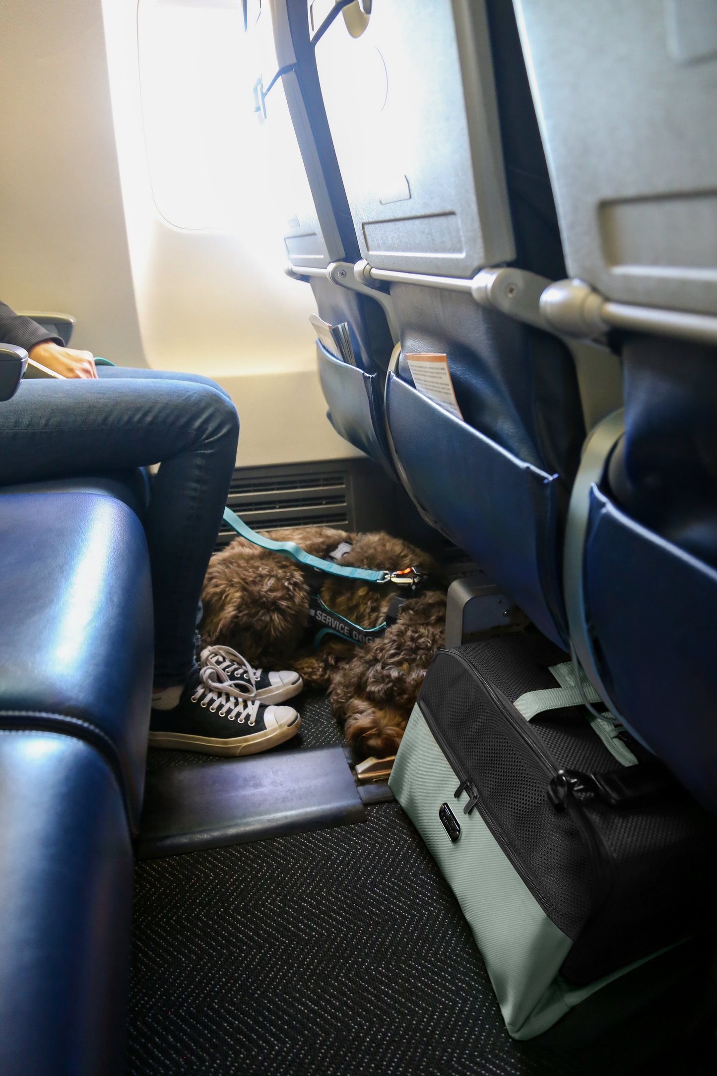 Sleepypod Air geanta de transport pentru pisici, pentru avion si masina
