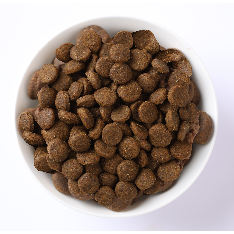 N&D Prime Kitten hrană uscată pentru pisoi cu pui și rodie, 300 g