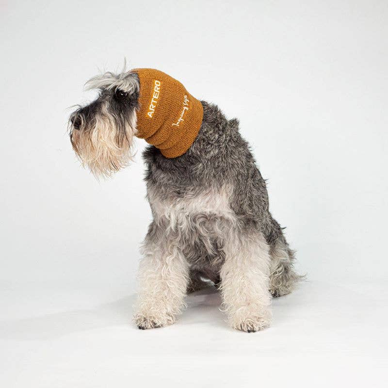 Protectie pentru urechi pentru pisici | Artero Focus Drying Ear Set