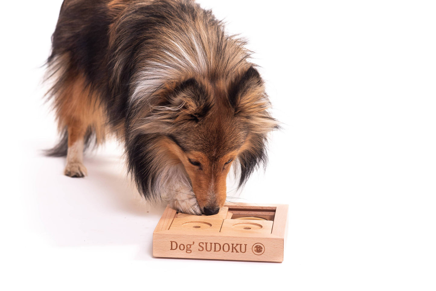 My Intelligent Pets puzzle interactiv pentru pisici, Sudoku Small Basic