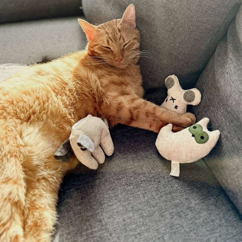 Ne&no jucarii pentru pisici cu catnip, set 3 piese cu rezerve