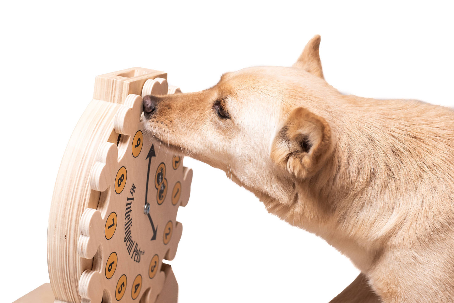 My Intelligent Pets puzzle interactiv pentru pisici, Clock