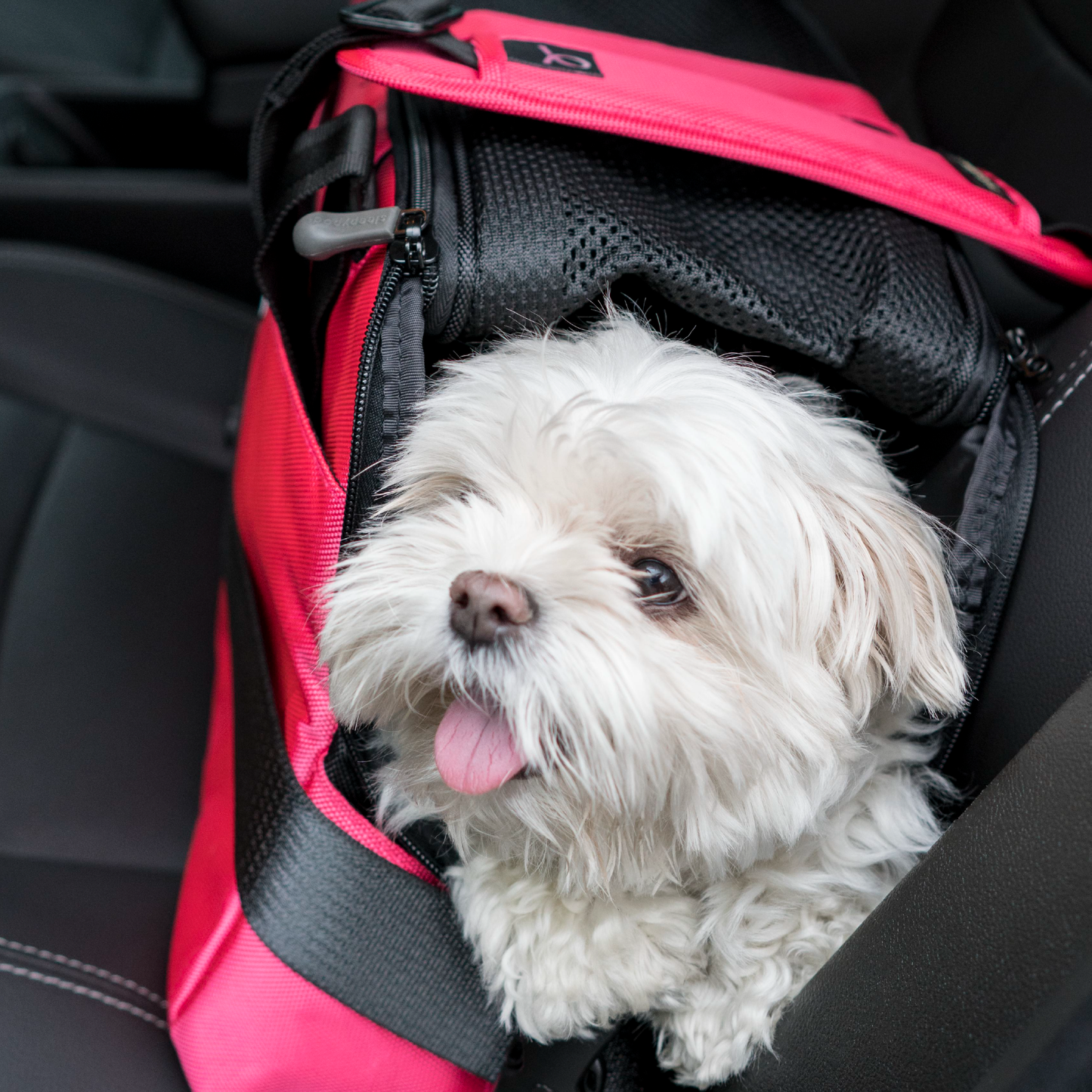 Sleepypod Atom geanta de transport pentru pisici, pentru masina si calatorii