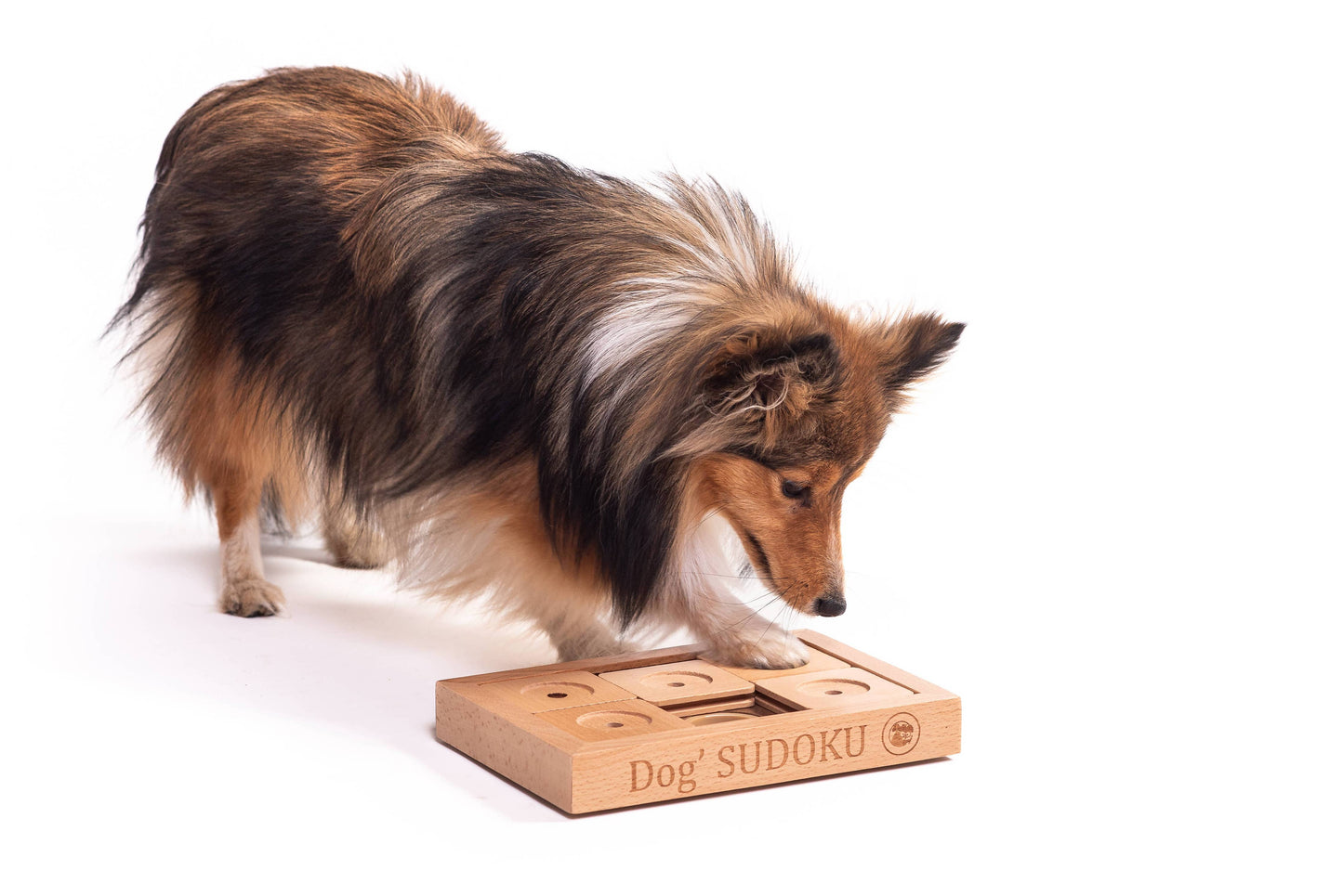 My Intelligent Pets puzzle interactiv pentru pisici, Sudoku Small Advanced