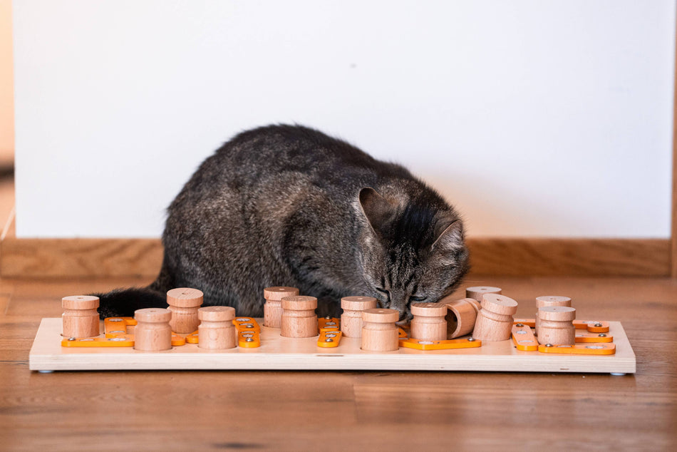 MICE puzzle interactiv pentru pisici, cu recompense