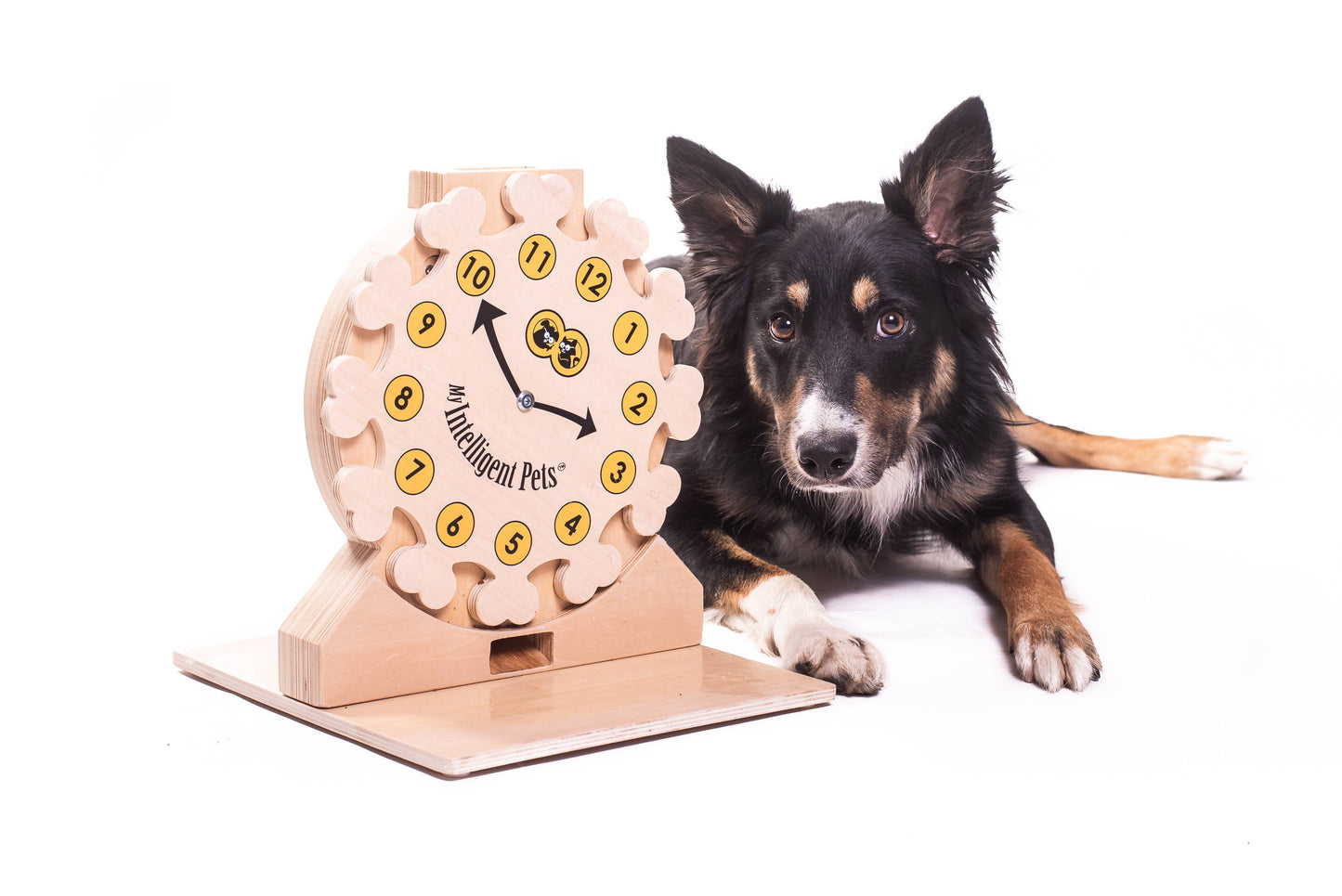 My Intelligent Pets puzzle interactiv pentru pisici, Clock