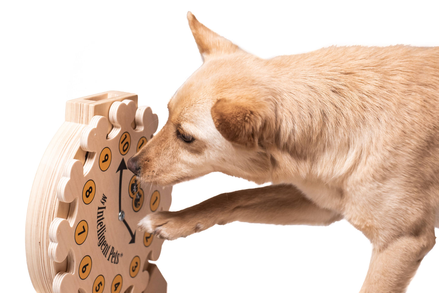 My Intelligent Pets puzzle interactiv pentru pisici, Clock