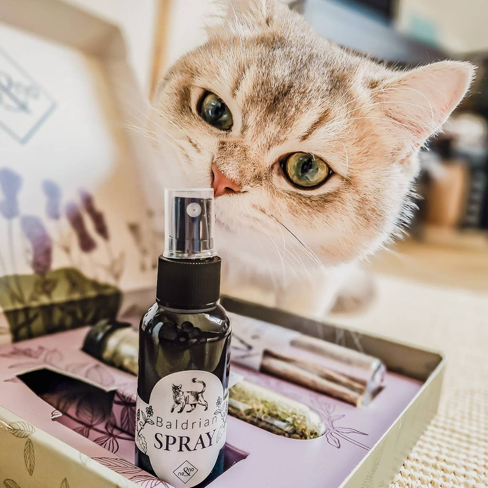 Ne&no spray cu valeriana pentru pisici, set 2 bucati in cutie cadou