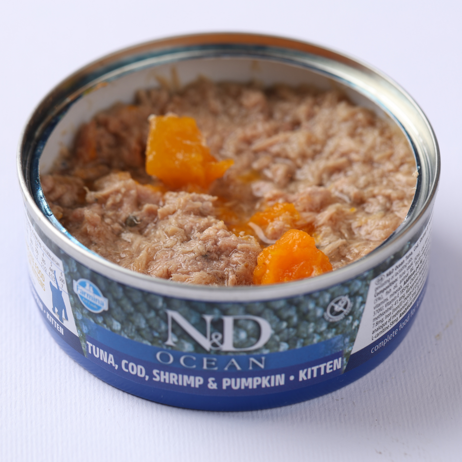 N&D Ocean Kitten hrană umedă pentru pisoi, cod, creveți și dovleac, 70 g