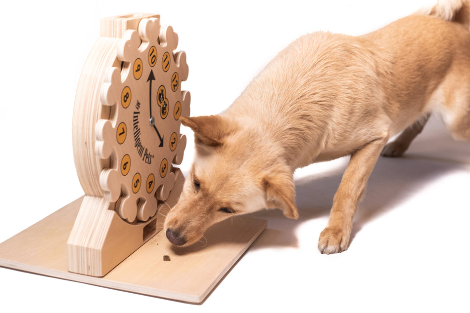 My Intelligent Pets puzzle pisici Clock
