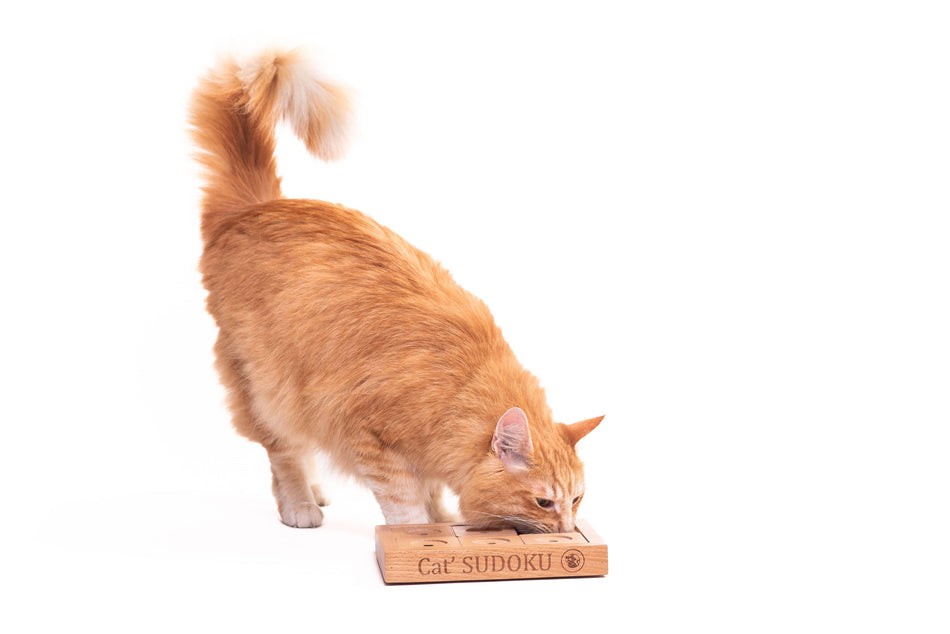 My Intelligent Pets puzzle pisici Sudoku Small Advanced