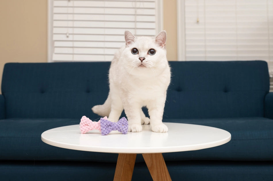 Nala Catnip Bowtie set 2 jucarii cu catnip si efect fosnitor pentru pisici