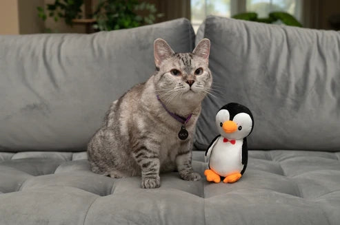 Nala Pippin The Penguin jucarie plus cu catnip si elemente fosnitoare pentru pisici