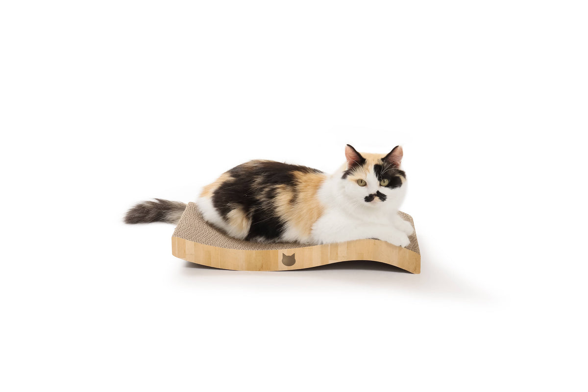 Necoichi Ripple Reversible Scratcher