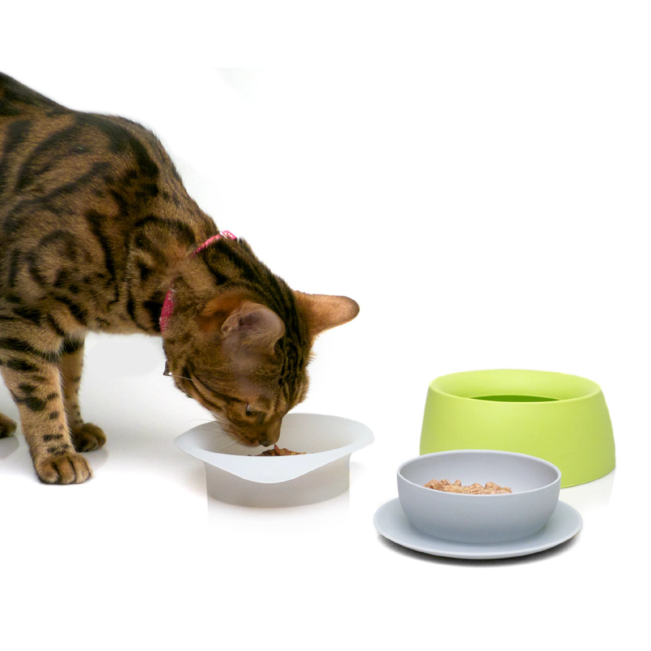 Sleepypod Yummy Travel Bowls boluri calatorie pisici