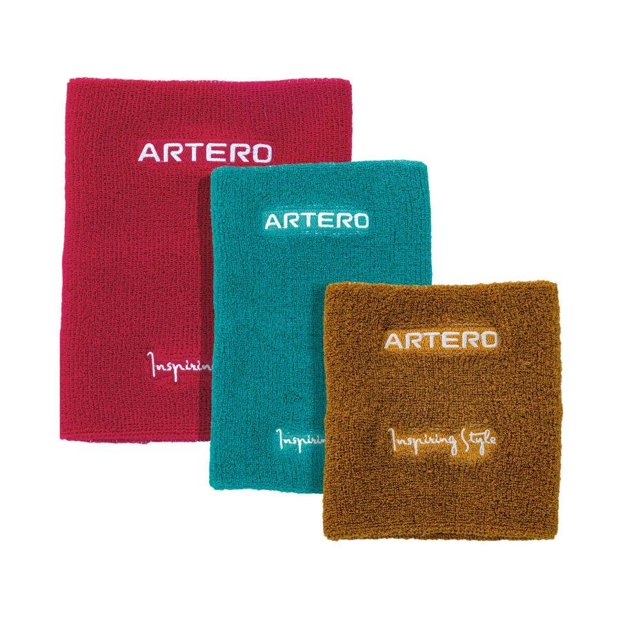 Protectie pentru urechi pentru pisici | Artero Focus Drying Ear Set