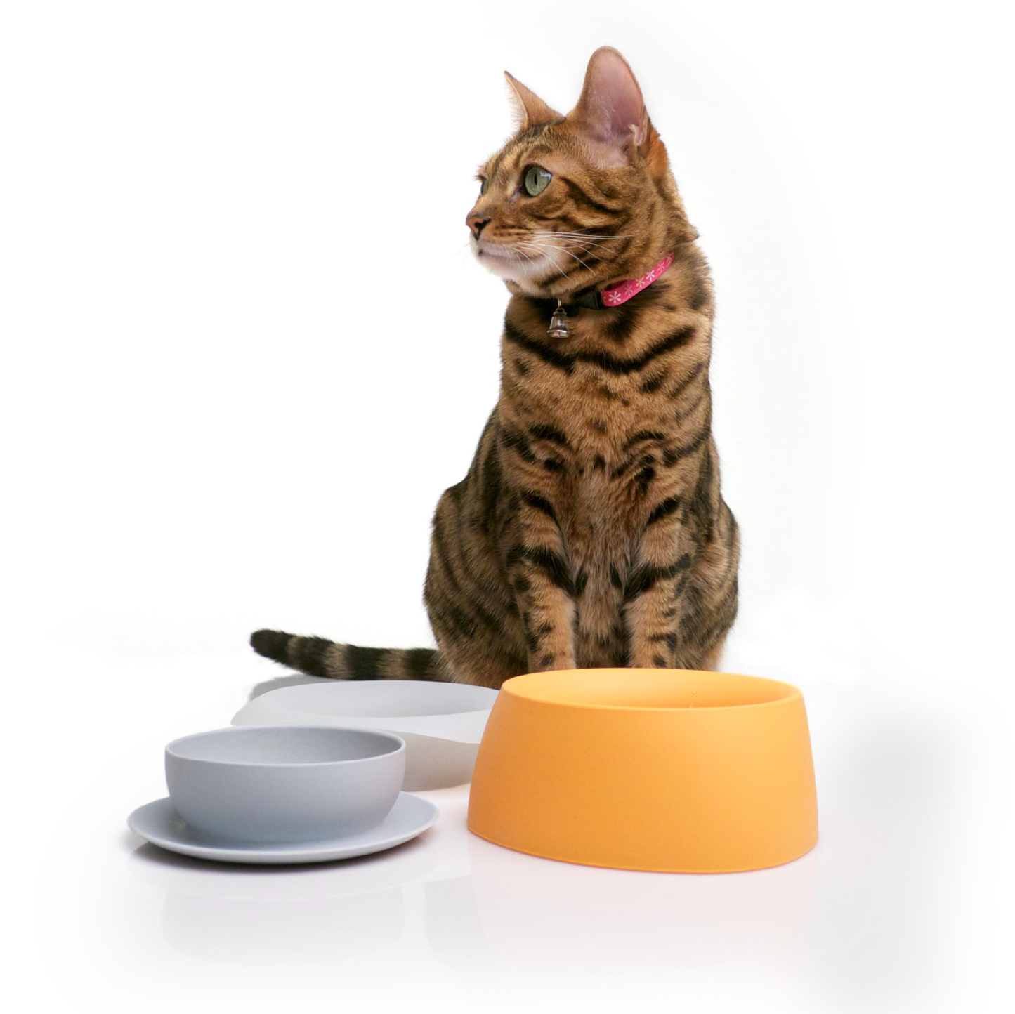 Sleepypod Yummy Travel Bowls set boluri de calatorie pentru pisici