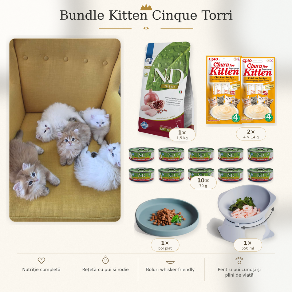 Bundle Kitten Cinque Torri, meniul pisoilor nostri + bolurile lor
