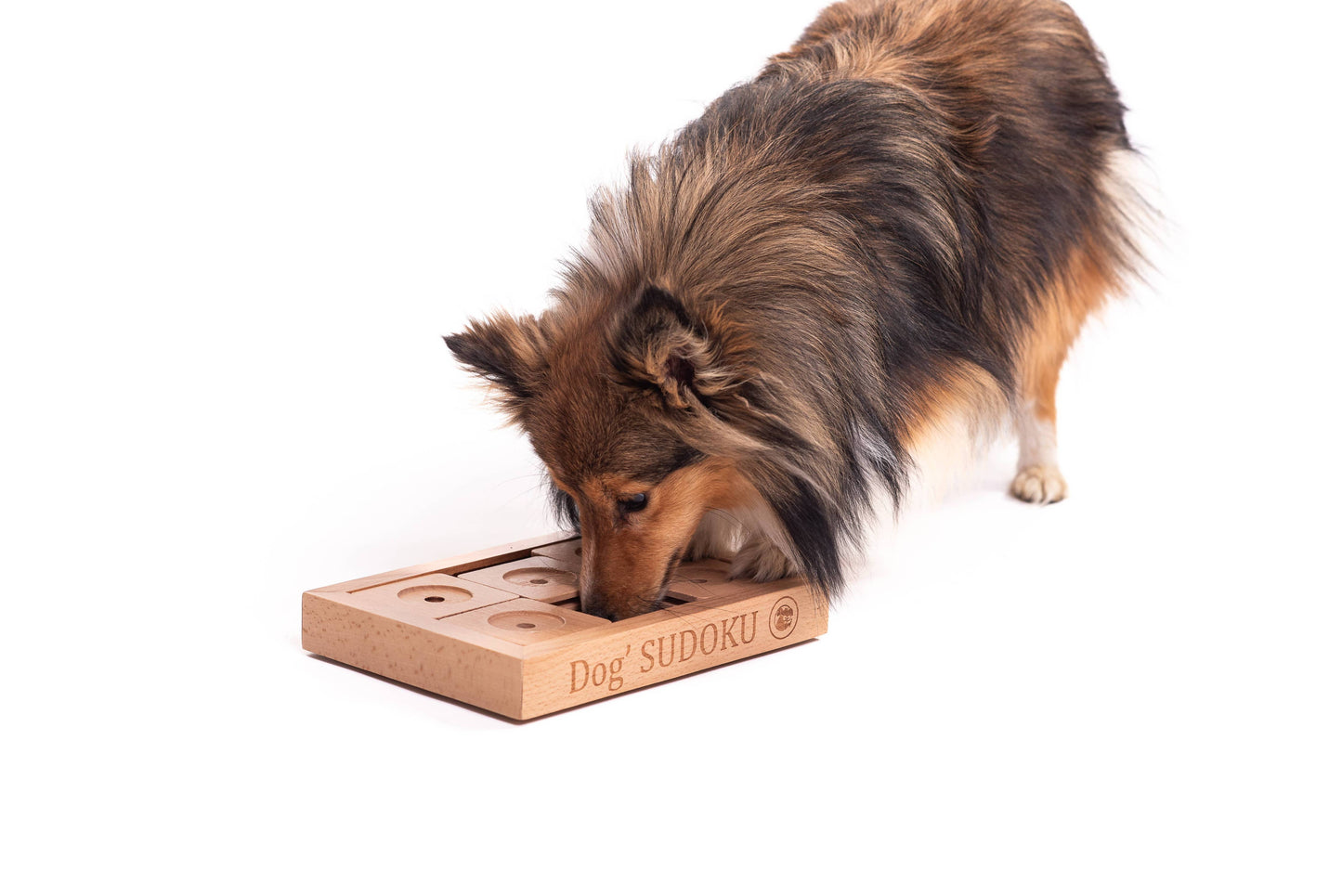 My Intelligent Pets puzzle interactiv pentru pisici, Sudoku Small Advanced