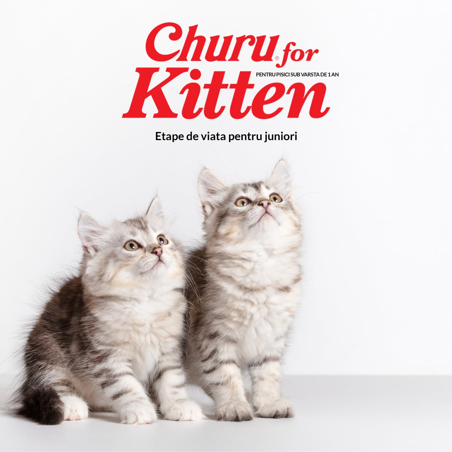 Churu Kitten 4 x 14 g | Inaba