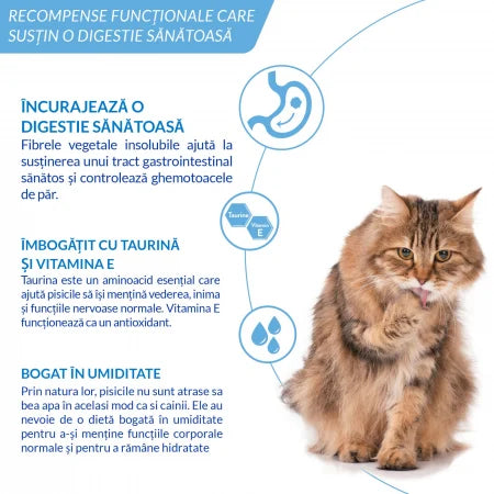 Ciao Churu Hairball Control 4 x 14 g | Inaba