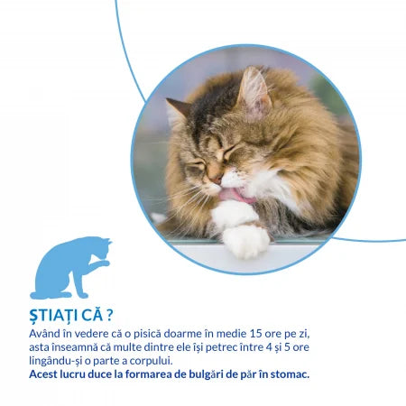 Ciao Churu Hairball Control pentru pisici, pui, 4 x 14 g