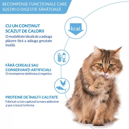Ciao Churu Hairball Control 4 x 14 g | Inaba