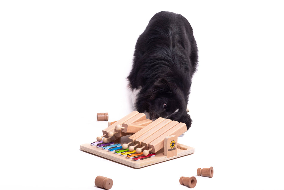 My Intelligent Pets puzzle interactiv pentru pisici, Piano