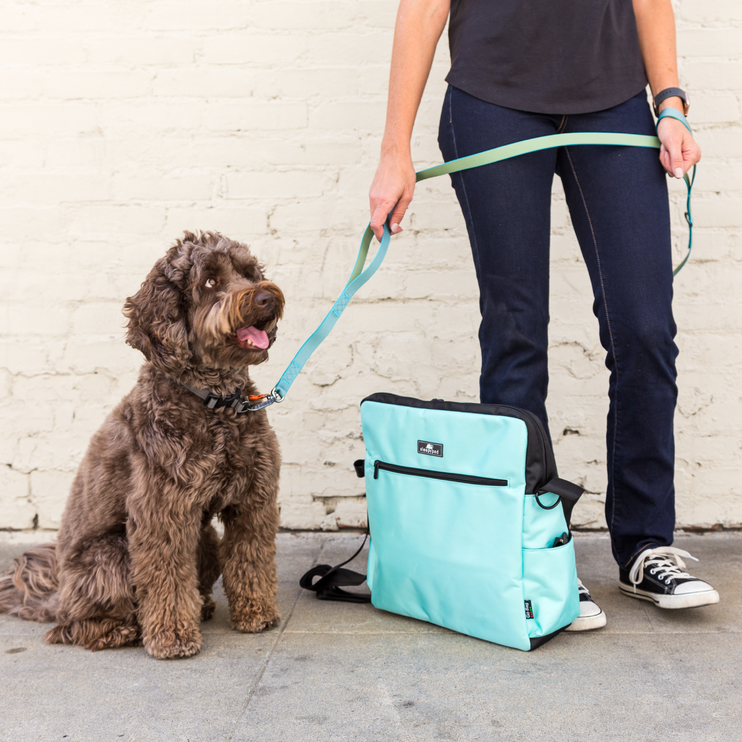 Sleepypod Go Bag organizator pentru calatorii cu pisica