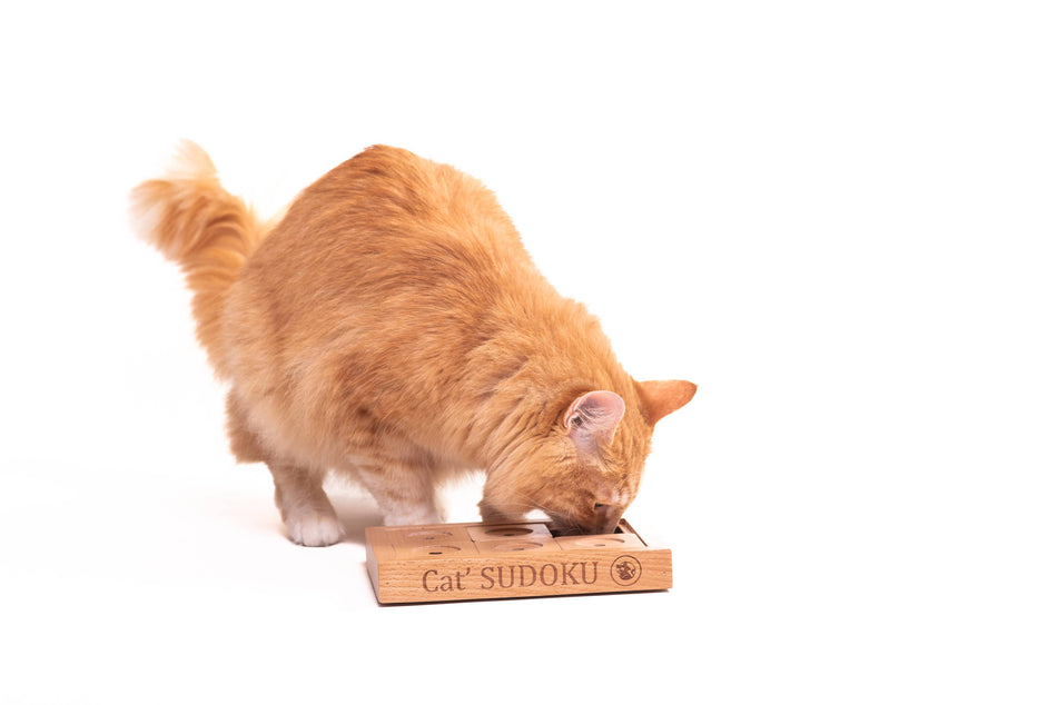 My Intelligent Pets puzzle interactiv pentru pisici, Sudoku Small Advanced