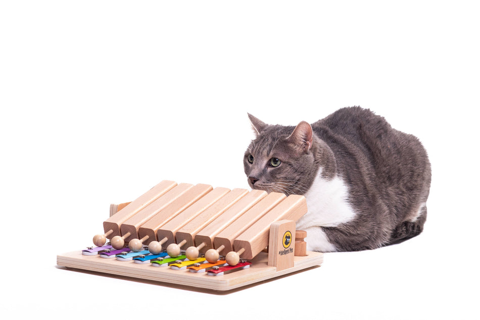 My Intelligent Pets puzzle interactiv pentru pisici, Piano