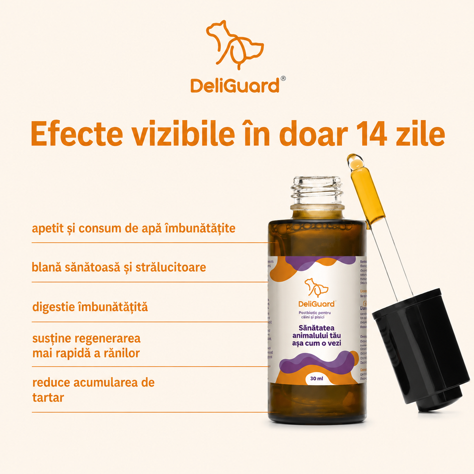 DeliGuard postbiotic pentru digestie pisici (si catei), 30 ml